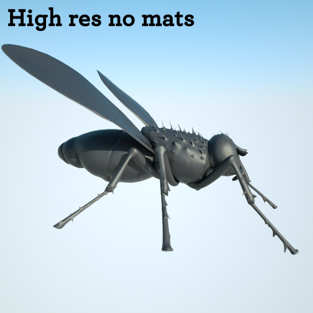 house fly obj https://p.turbosquid.com/ts-thumb/V3/dAL40H/VLvMQ891/fly2/png/1302457884/1920x1080/fit_q87/d02792881ebaa2b9e1b19b63d1de1f4e2b54ed77/fly2.jpg