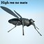Rigged House Fly