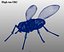 Rigged House Fly