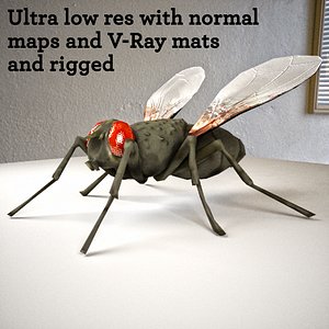 Rigged House Fly