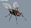 Rigged House Fly