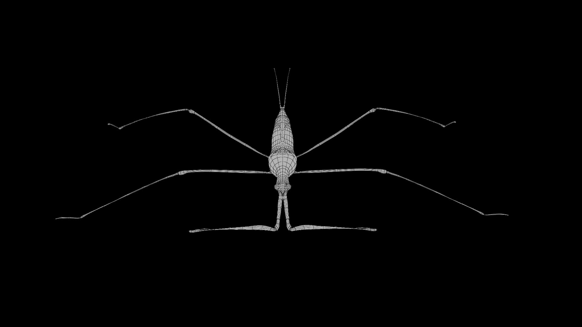 Water Stick Insect 3D Model - TurboSquid 2407509
