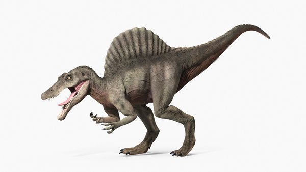 3D Model Spinosaurus Dinosaur - TurboSquid 1601064