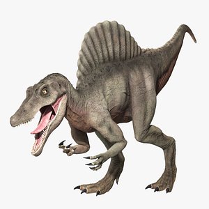 3D model spinosaurus dinosaur