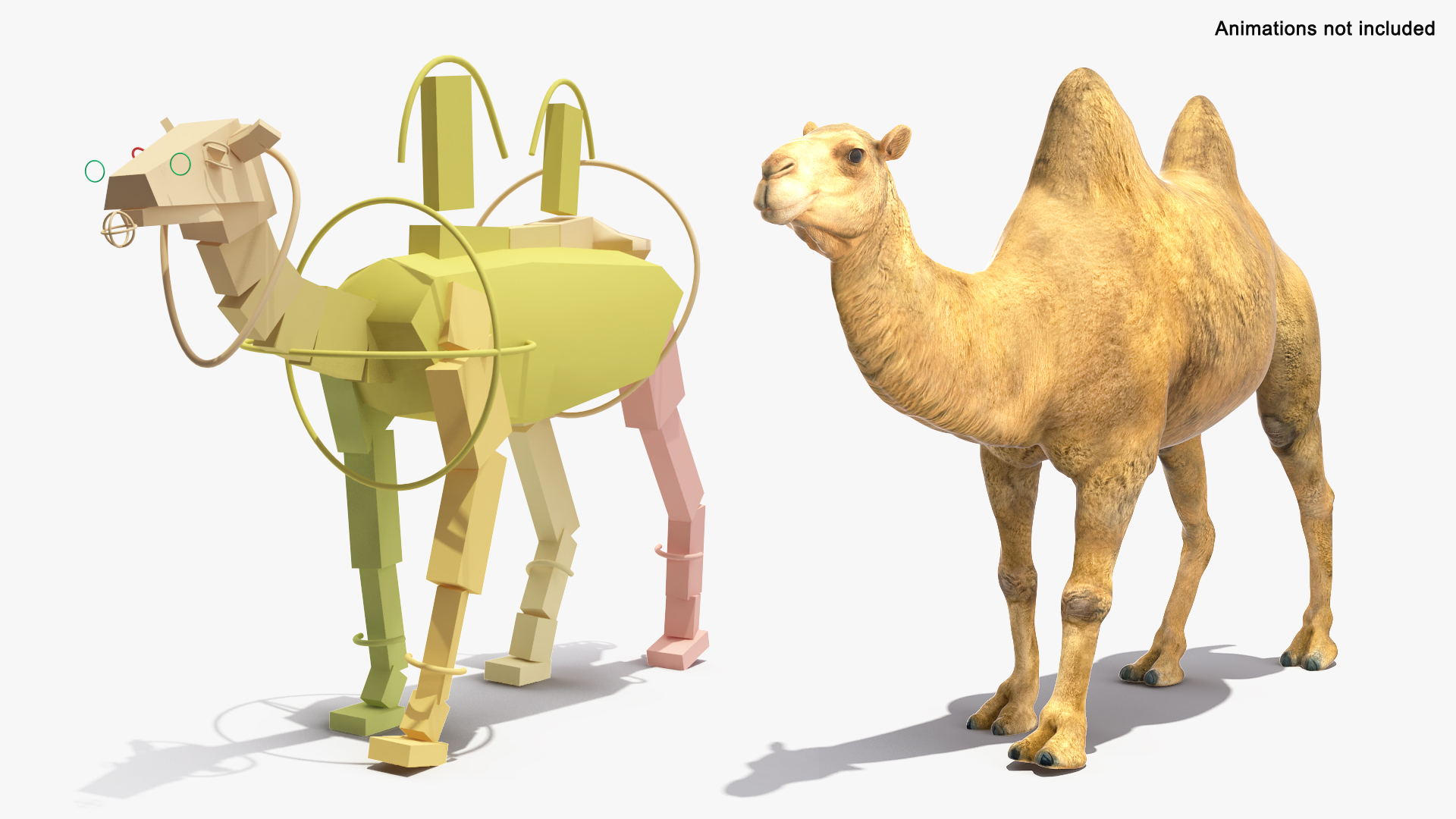 3D Bactrian Camel Rigged model https://p.turbosquid.com/ts-thumb/V3/kmBcoW/3R/bactrian_camel_rigged_362/jpg/1724745663/1920x1080/turn_fit_q99/af192ecc92d44b8deecaa3644784cf275a357cfa/bactrian_camel_rigged_362-1.jpg