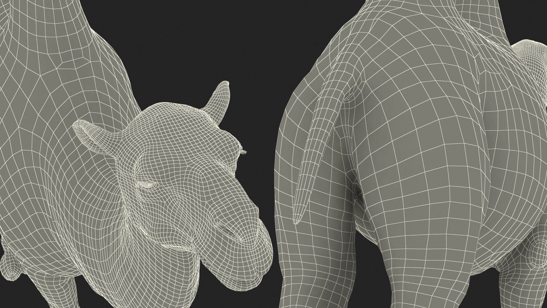 3D Bactrian Camel Rigged model https://p.turbosquid.com/ts-thumb/V3/kmBcoW/CF/bactriancamelriggedc4dmodel041/jpg/1724746104/1920x1080/fit_q87/ddb3ccfed73b2d04c0e95c2e8dd6e5689e3ce46e/bactriancamelriggedc4dmodel041.jpg