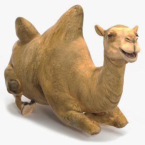 3D Bactrian Camel Rigged model