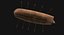 longboat