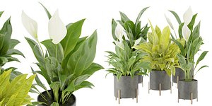 Collection plant vol 274 - blender model model