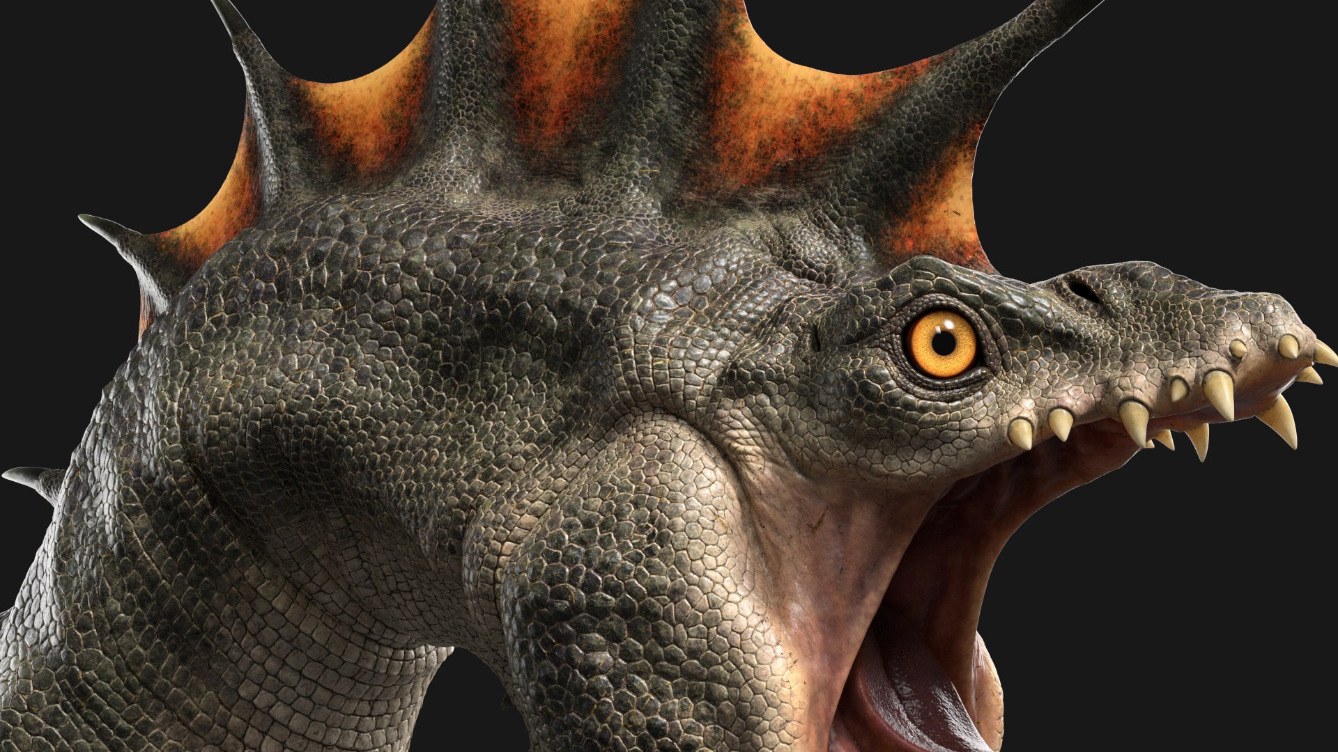 Dragon Head 3D model https://p.turbosquid.com/ts-thumb/V4/7mUtEO/Tj/gtn_010/jpg/1629223401/1920x1080/fit_q87/c804d27c9386962a9865d12beb178ac09d0cc9a2/gtn_010.jpg