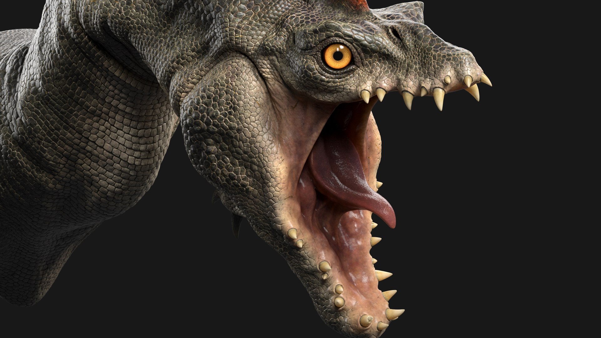 Dragon Head 3D model https://p.turbosquid.com/ts-thumb/V4/7mUtEO/hJ/gtn_001/jpg/1629223399/1920x1080/fit_q87/ed231dd3281a3daa3452f282209092cf7195a208/gtn_001.jpg