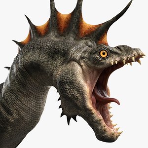 Dragon Head