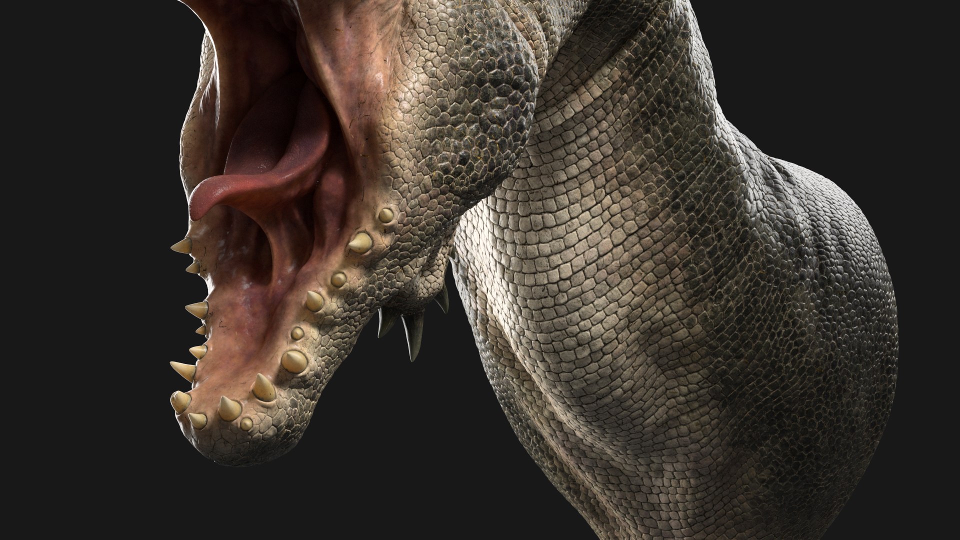 Dragon Head 3D model https://p.turbosquid.com/ts-thumb/V4/7mUtEO/st/gtn_008/jpg/1629223400/1920x1080/fit_q87/b74dd3fb2a4e1c0065640765aef08125aa5ac833/gtn_008.jpg