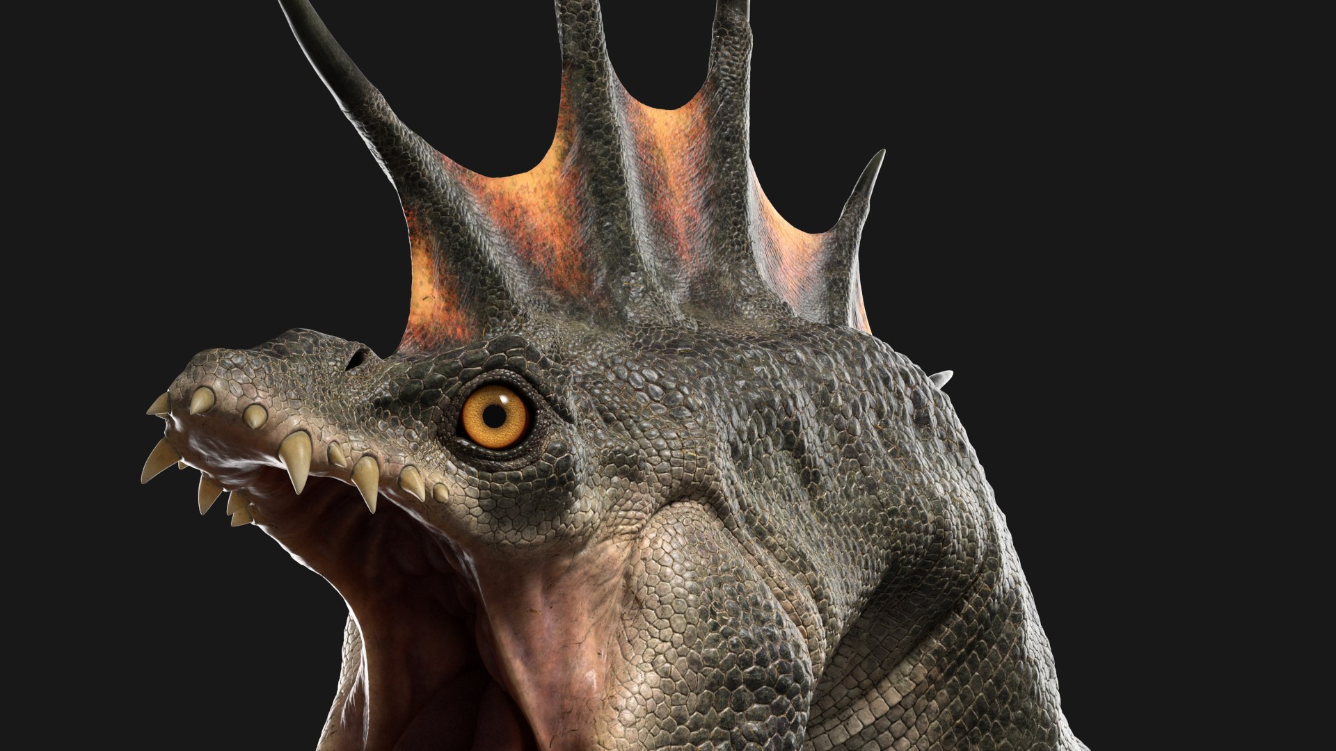 Dragon Head 3D model https://p.turbosquid.com/ts-thumb/V4/7mUtEO/u4/gtn_007/jpg/1629223399/1920x1080/fit_q87/abe82e6970e07dc7b2b751e7e8094560735fada1/gtn_007.jpg