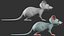 Mouse  - Stylize  Cartoon