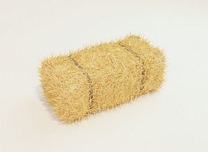 Hay Bale Square 3D Model