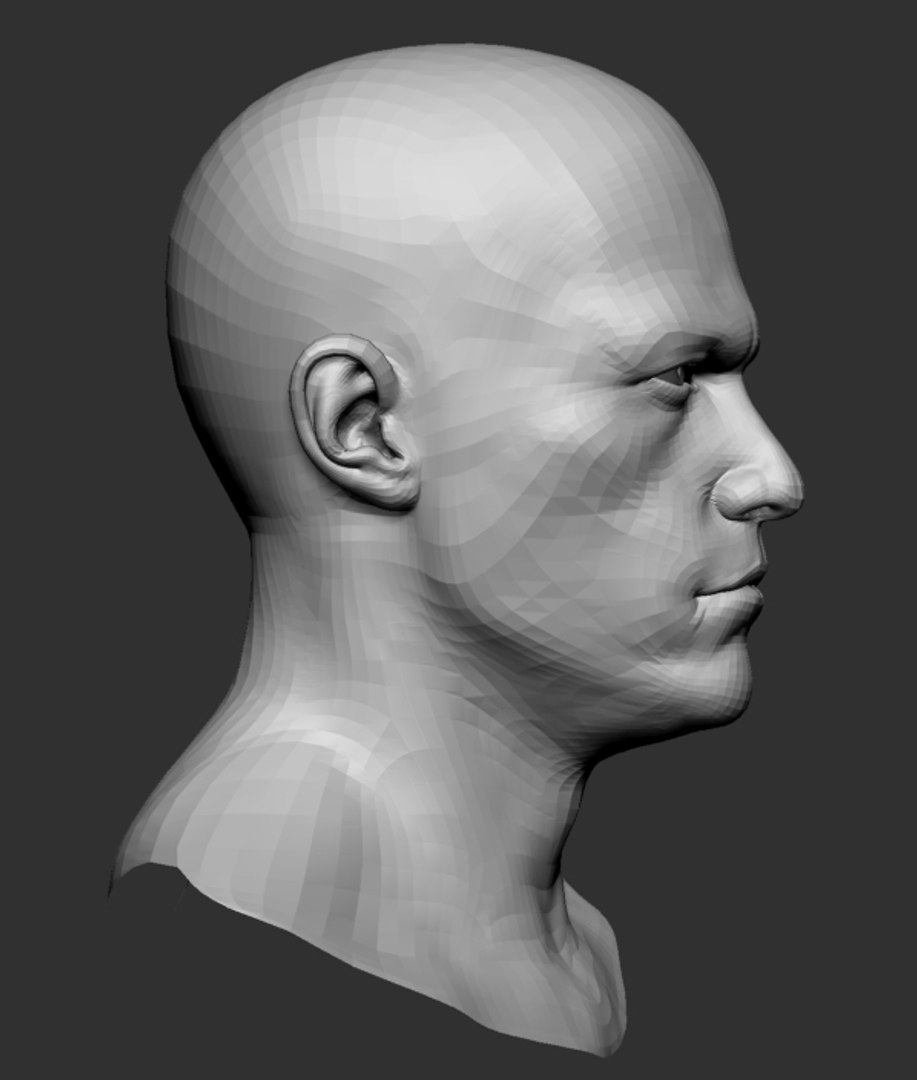 male head base mesh obj https://p.turbosquid.com/ts-thumb/V4/hpVE4f/CsqKlHLY/male_head_base04/jpg/1462188921/1920x1080/fit_q87/cc865bc76573aacf84c671dd5dac36b99cb61f85/male_head_base04.jpg