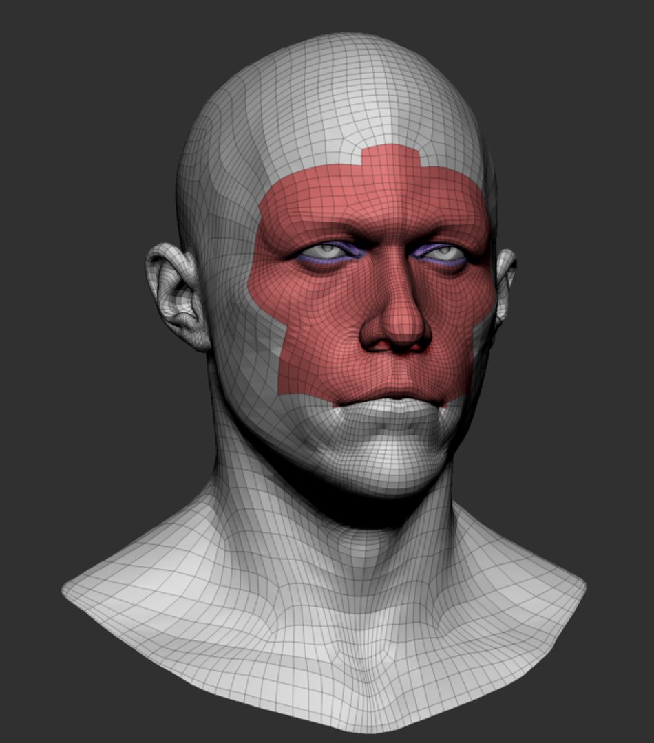 male head base mesh obj https://p.turbosquid.com/ts-thumb/V4/hpVE4f/MYKxd7Hv/male_head_base02/jpg/1462188921/1920x1080/fit_q87/f59dbd96514468bcc044f70b449290838c5a174a/male_head_base02.jpg