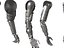 Anatomia della mano robotica