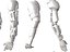 Anatomia della mano robotica