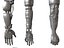 Anatomia della mano robotica