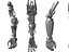 Anatomia della mano robotica