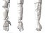 Anatomia della mano robotica