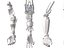 Anatomia della mano robotica