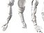Anatomia della mano robotica