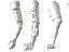 Anatomia della mano robotica