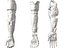 Anatomia della mano robotica