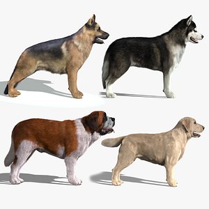 dogs fur 3d model