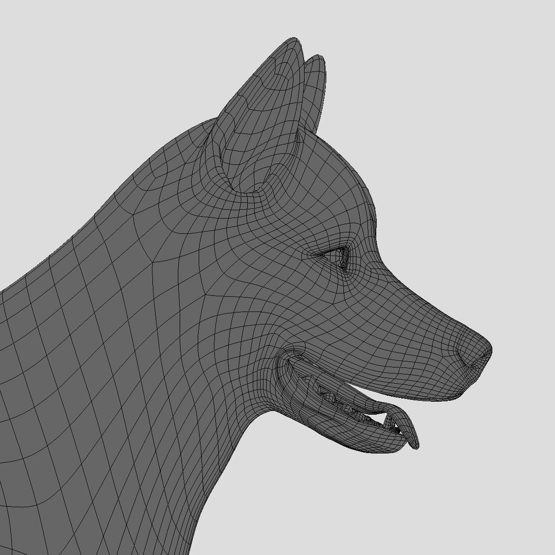 Dogs Fur 3d Model