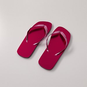 3d slippers slip model