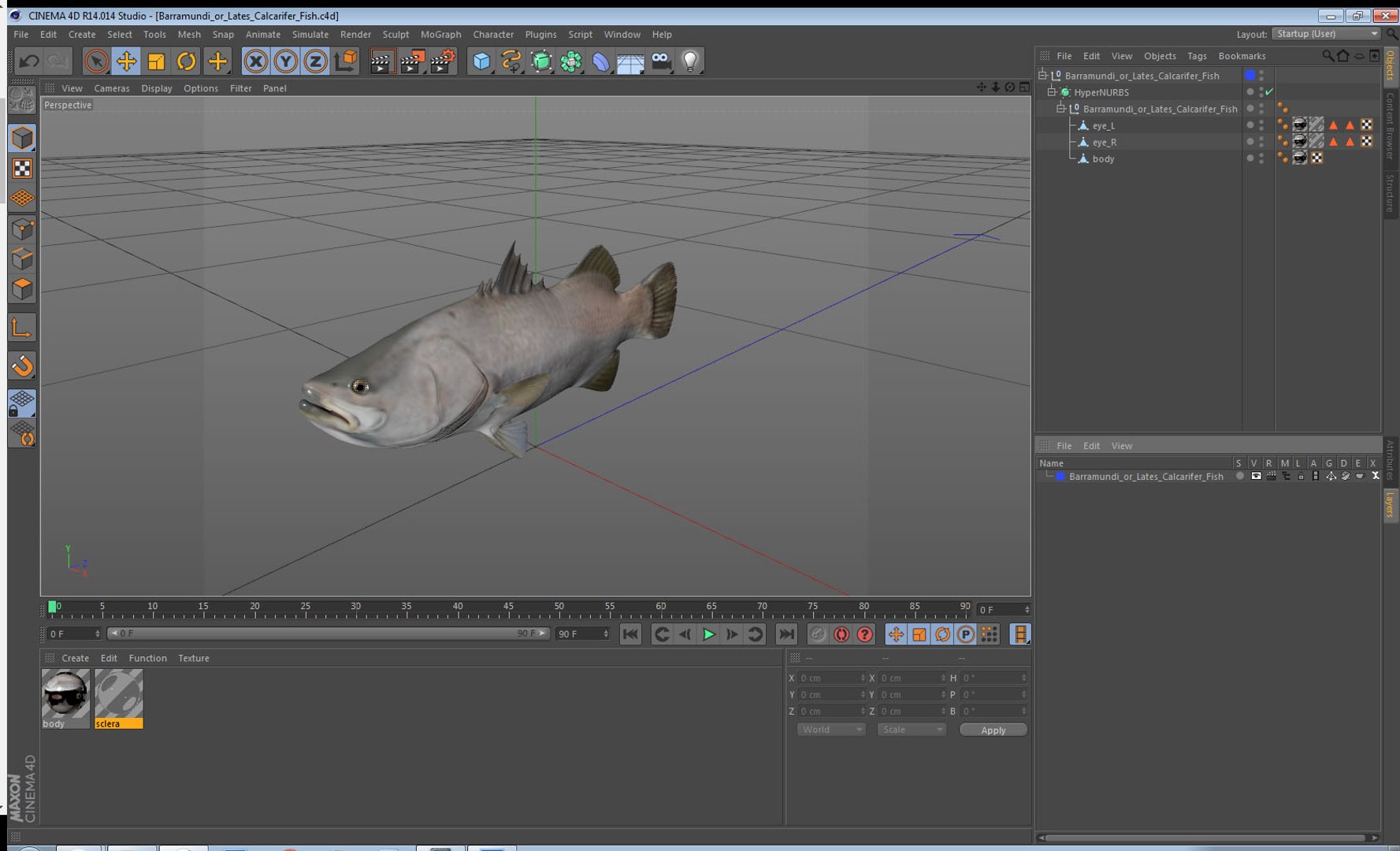 barramundi lates calcarifer fish 3D model https://p.turbosquid.com/ts-thumb/V5/6dgIku/3dtm7ZCA/barramundiorlatescalcariferfishmb3dmodel013/jpg/1543411538/1920x1080/fit_q87/ca70e46322a8a3490c4d953dbcb57138ea0bebf0/barramundiorlatescalcariferfishmb3dmodel013.jpg