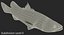 Barramundi or Lates Calcarifer Fish 3D Model