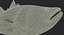 Barramundi or Lates Calcarifer Fish 3D Model