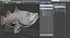 Barramundi or Lates Calcarifer Fish 3D Model