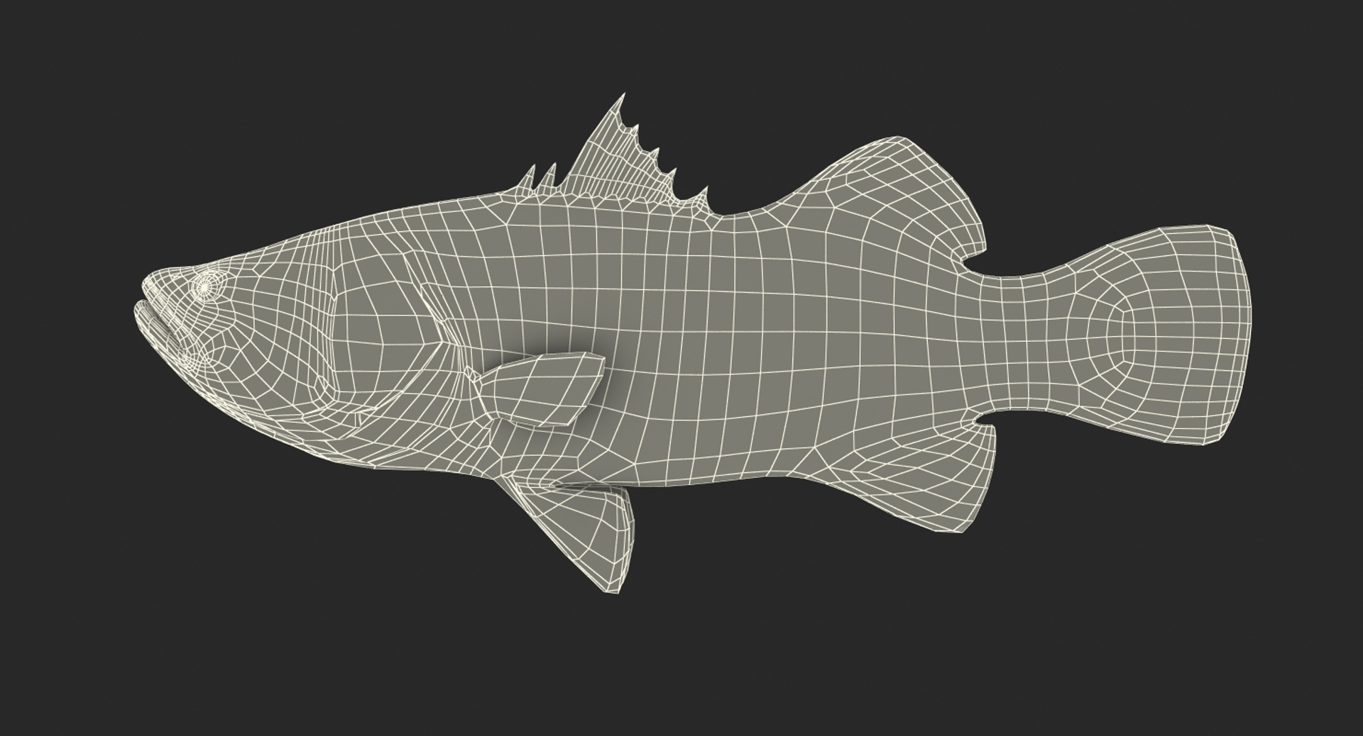 barramundi lates calcarifer fish 3D model https://p.turbosquid.com/ts-thumb/V5/6dgIku/hsmcSHSf/barramundi_or_lates_calcarifer_fish_361/jpg/1543411075/1920x1080/turn_fit_q99/0f8b31b216abfa9c867779a752a07bc521b1cde9/barramundi_or_lates_calcarifer_fish_361-1.jpg