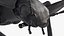 Blue Fungus Beetle Insect Fur Rigged