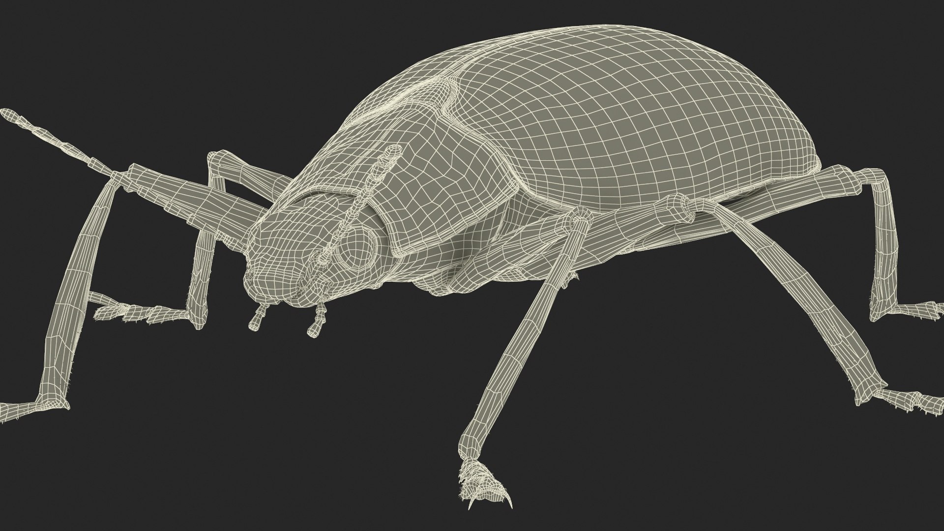 3D Blue Fungus Beetle Insect Fur Rigged https://p.turbosquid.com/ts-thumb/V5/J7Bytp/9a/bluefungusbeetleinsectfurrigged3dsmodel032/jpg/1723583527/1920x1080/fit_q87/2f86d750bab7aa21056eb71552e4dd8a1a9cd034/bluefungusbeetleinsectfurrigged3dsmodel032.jpg