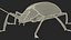 Blue Fungus Beetle Insect Fur Rigged