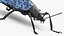 Blue Fungus Beetle Insect Fur Rigged