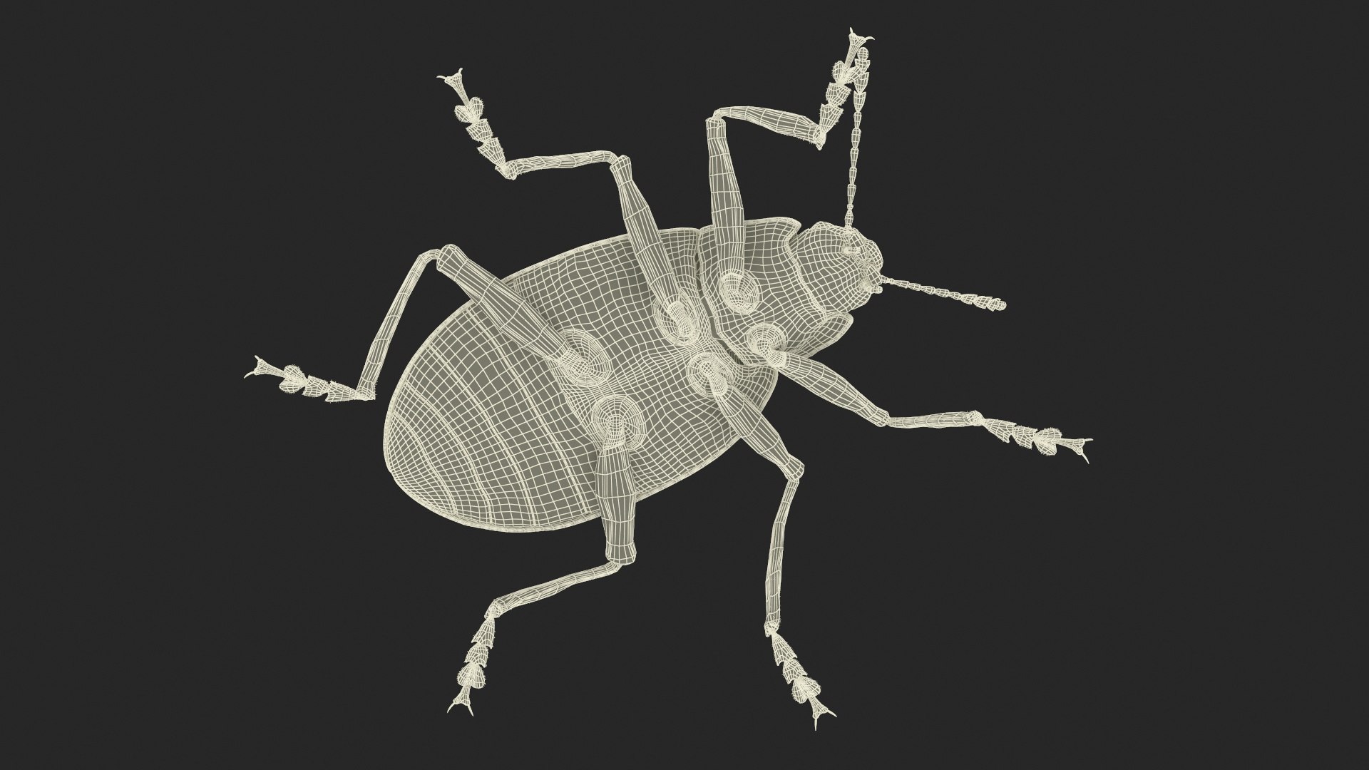3D Blue Fungus Beetle Insect Fur Rigged https://p.turbosquid.com/ts-thumb/V5/J7Bytp/IO/bluefungusbeetleinsectfurrigged3dsmodel031/jpg/1723583522/1920x1080/fit_q87/53ea3e1f6f430df48ad9ab25b7faceaa8bbb3101/bluefungusbeetleinsectfurrigged3dsmodel031.jpg