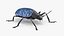 Blue Fungus Beetle Insect Fur Rigged