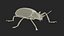 Blue Fungus Beetle Insect Fur Rigged