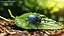 Blue Fungus Beetle Insect Fur Rigged