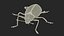 Blue Fungus Beetle Insect Fur Rigged