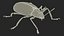 Blue Fungus Beetle Insect Fur Rigged