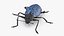 Blue Fungus Beetle Insect Fur Rigged